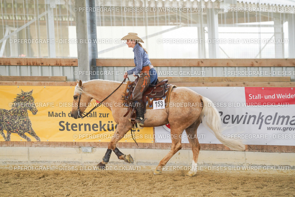 DSC05914 | Pferdegrafie