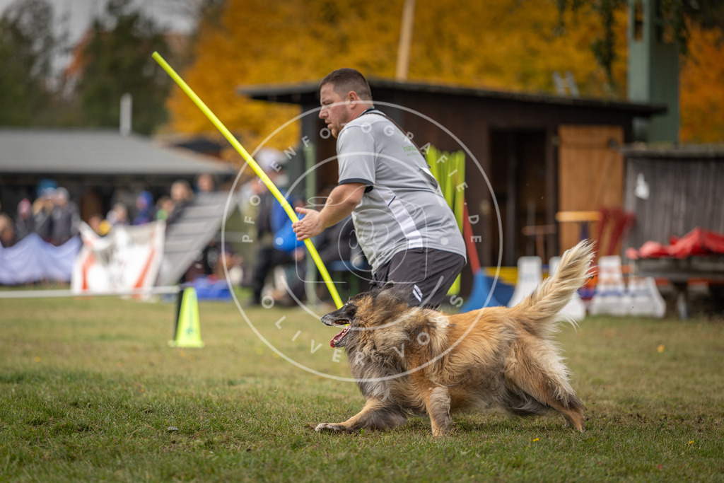 Pfotenfotografie_DV3A7979 | Hundefotografie, Tierfotograf, Pfotenfotografie, Fotoshooting Hund, Hunde Portrait, Hundesport, Hundeportraits, Heideshooting, Hunde, Sportfotograf, Hundefotograf, Turnierhundsport, THS,  - Realisiert mit Pictrs.com