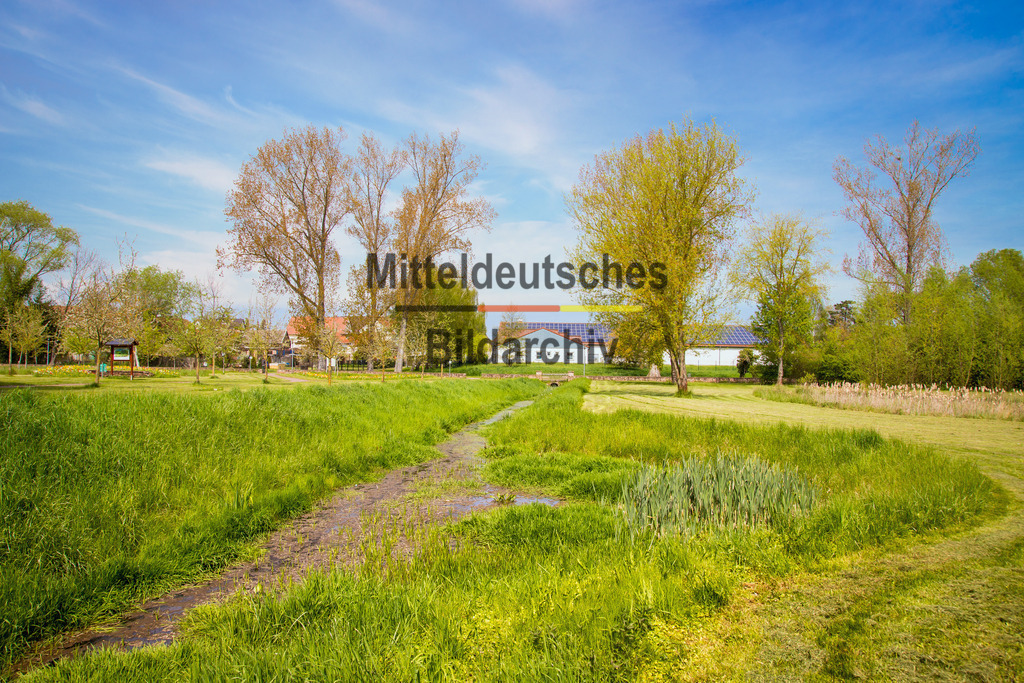 Eichenbarleben-3007 | Park Eichenbarleben - Realisiert mit Pictrs.com