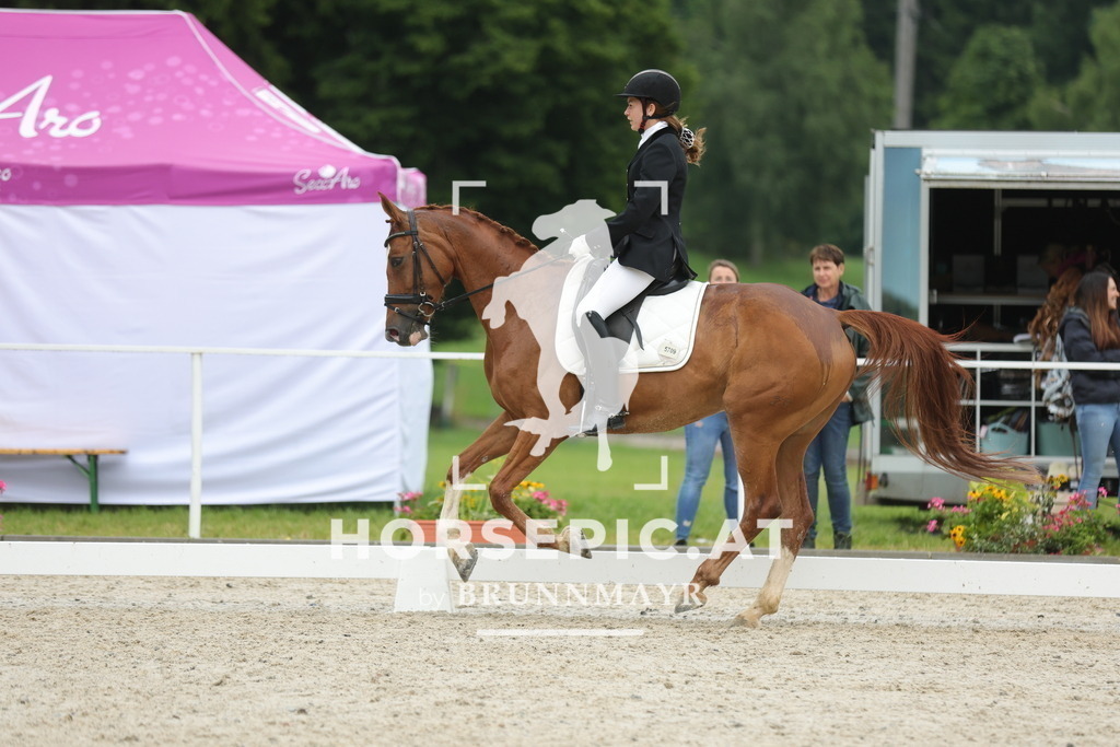 0P6A3626 | Willkommen bei Brunnmayr - Design & Fotografie – Ihrem Spezialisten für Reitturniere und Pferdeveranstaltungen in Oberösterreich, Salzburg und Bayern! Seit über 17 Jahren sind wir leidenschaftlich dabei.