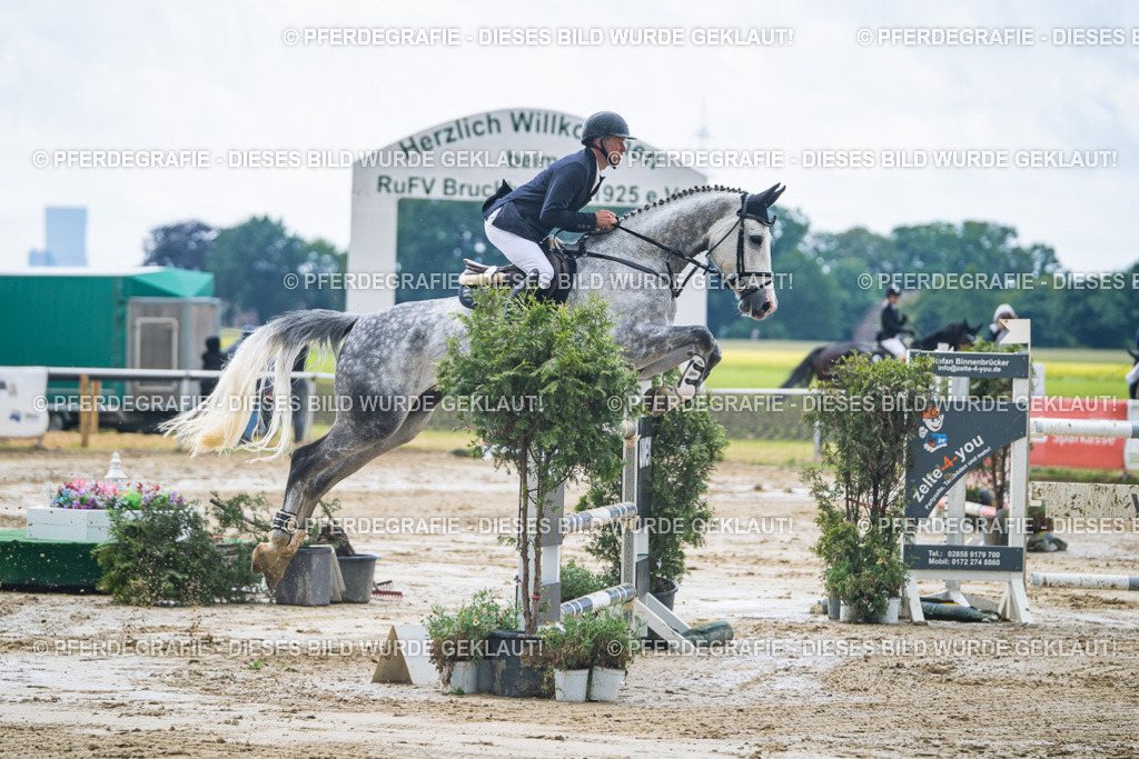 DSC04477 | Pferdegrafie