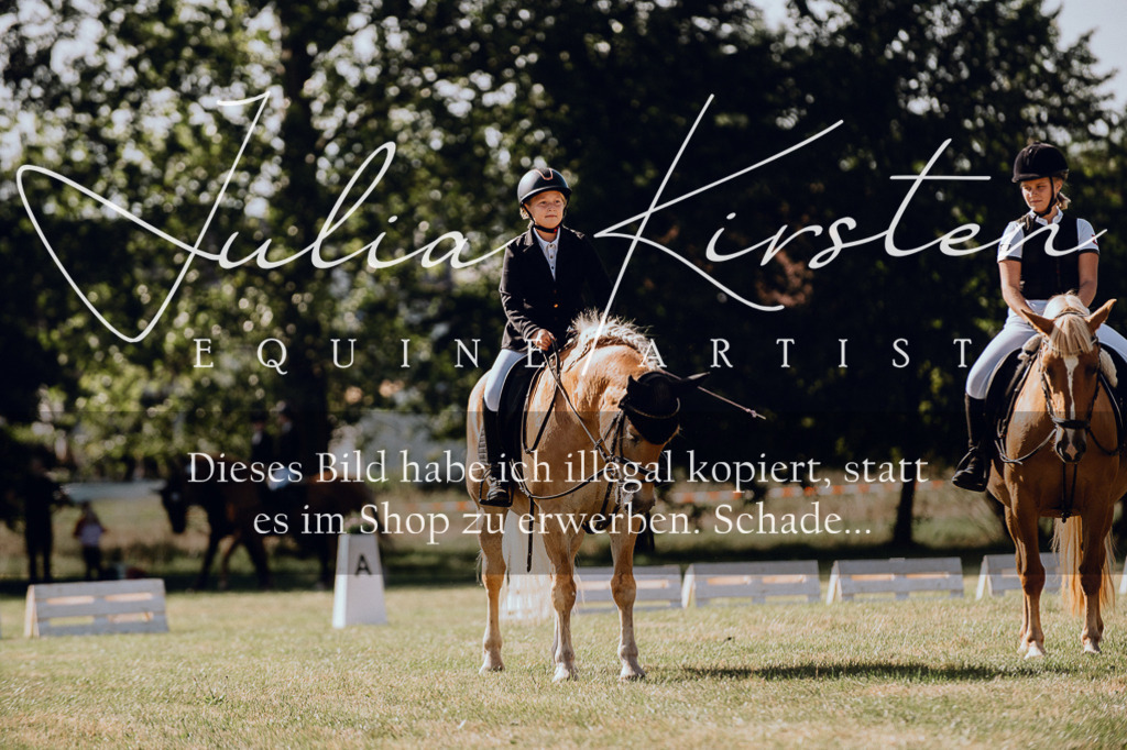 DSC_7165 | Pferde- und Turnierfotografie in Westsachsen. Pferdeportraits, Auftragszeichnungen und intuitive Kunst.