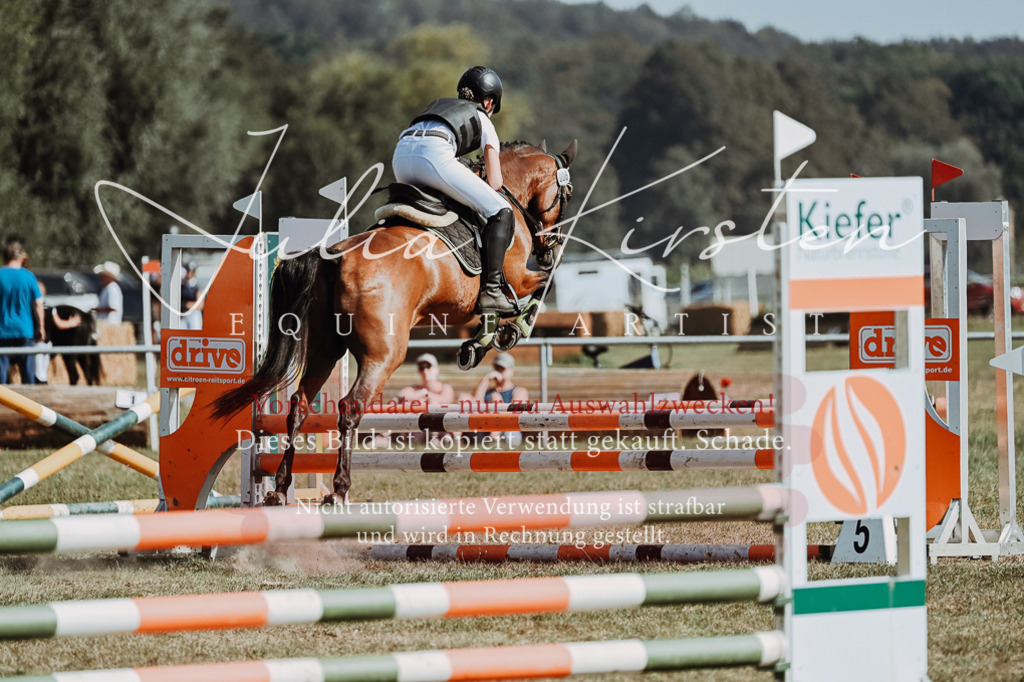 DSC_9417 | Pferde- und Turnierfotografie in Westsachsen. Pferdeportraits, Auftragszeichnungen und intuitive Kunst.