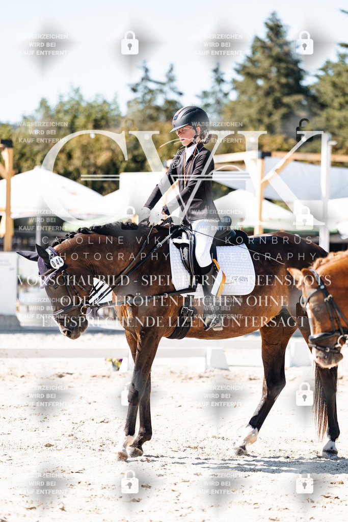 CK902940 | Turnierfotografie Pferdefotografie Trier Rheinland-Pfalz Pferdesport Reitsport Tierfotografie Sportfotografie Pferdevideo Pferdevideografie Equestrianvideography equestrianphotography  - Realisiert mit Pictrs.com