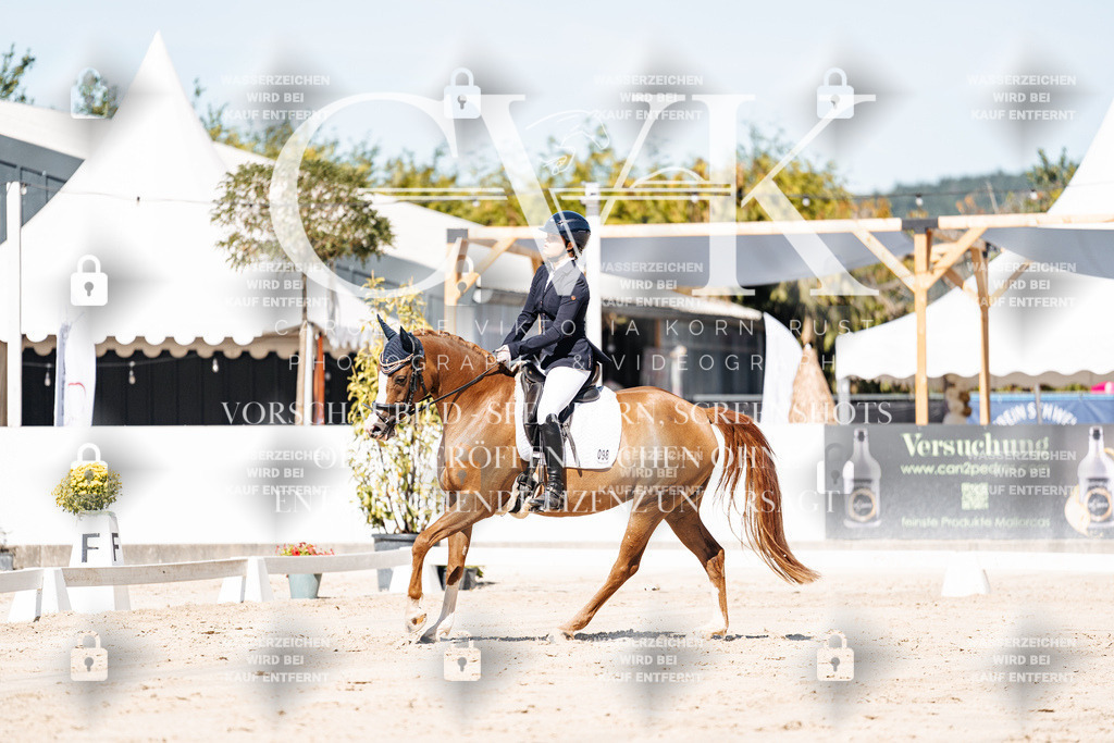 CK909179 | Turnierfotografie Pferdefotografie Trier Rheinland-Pfalz Pferdesport Reitsport Tierfotografie Sportfotografie Pferdevideo Pferdevideografie Equestrianvideography equestrianphotography  - Realisiert mit Pictrs.com