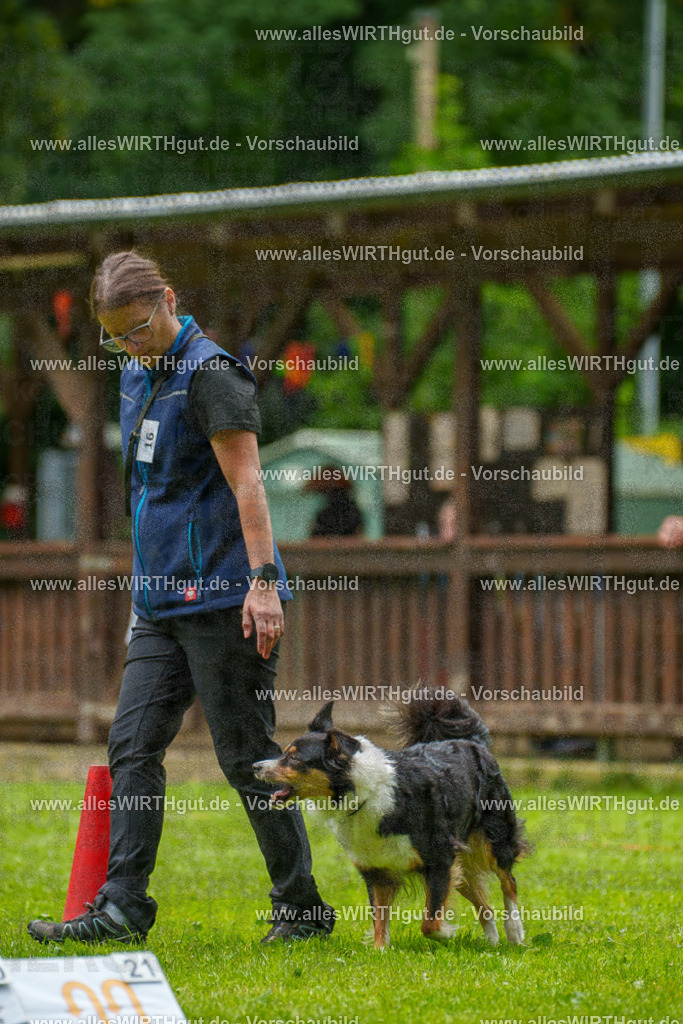@allesWIRTHgut_Tierfotografie - www.allesWIRTHgut.de - 091845-7R506925 | Professionelle Tierfotografie in Mönchengladbach von Daniel Wirth (allesWIRTHgut). Liebevolle & natürliche Bilder von Hunden & Katzen für unvergessliche Erinnerungen.