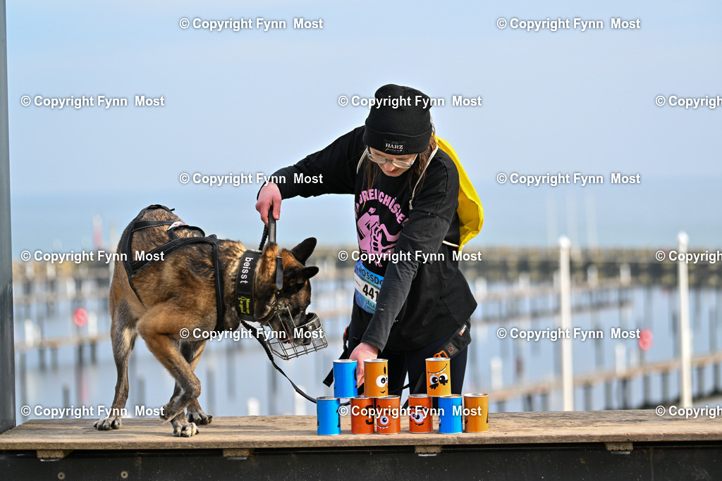 DSC_4829 | Hallo und herzlich Willkommen auf meiner Shop-Seite Fynn Most.

Ich wünsche Dir viel Spaß beim stöbern durch die Bilder, wenn Du Fragen hast oder Bilder vermisst, kannst du mir gerne eine Nachricht schreiben. - Realisiert mit Pictrs.com