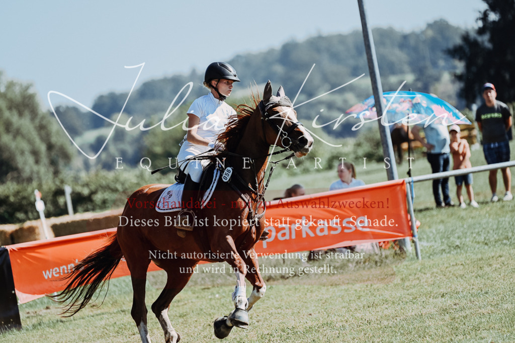 DSC_5617 | Pferde- und Turnierfotografie in Westsachsen. Pferdeportraits, Auftragszeichnungen und intuitive Kunst.