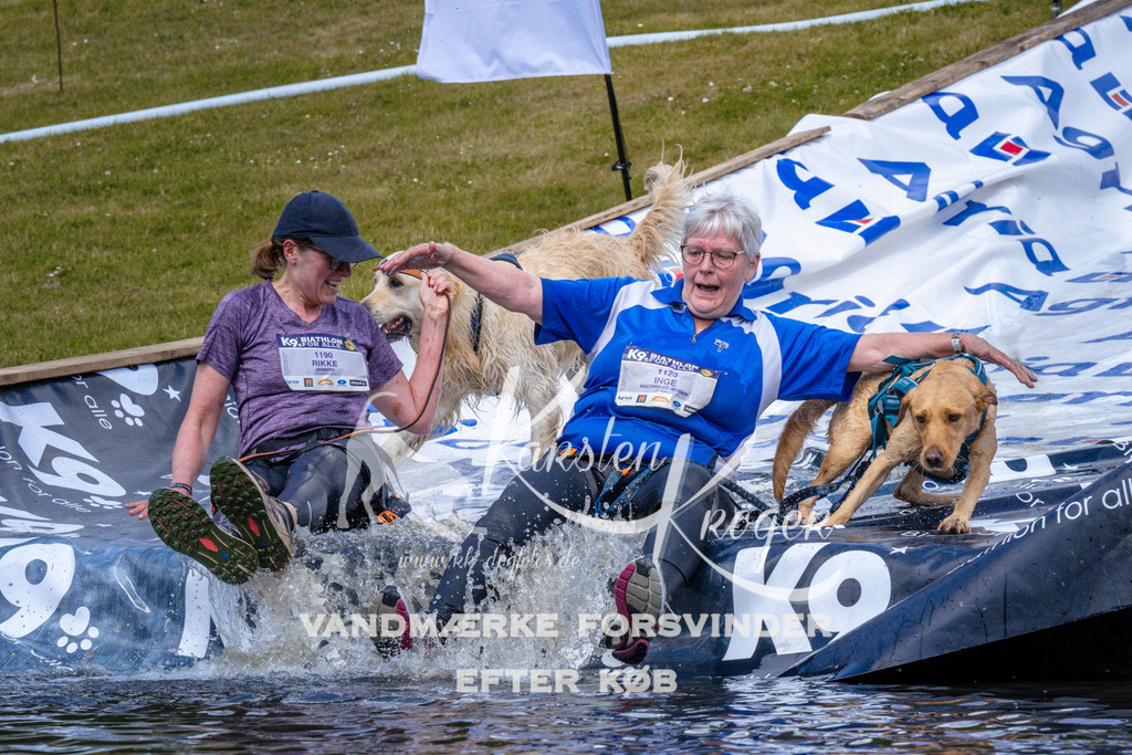 _ZZ994171053 | kk-dogfotos