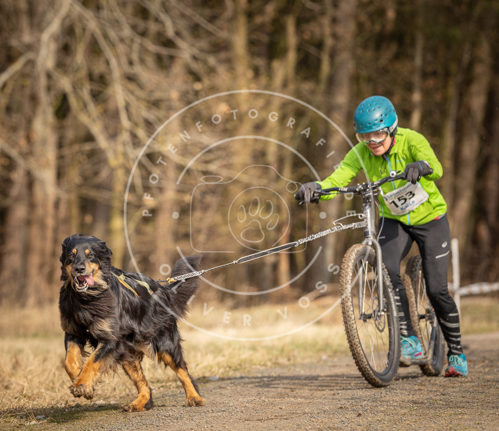 DV3A4842 | Hundefotografie, Tierfotograf, Pfotenfotografie, Fotoshooting Hund, Hunde Portrait, Hundesport, Hundeportraits, Heideshooting, Hunde, Sportfotograf, Hundefotograf, Turnierhundsport, THS,  - Realisiert mit Pictrs.com