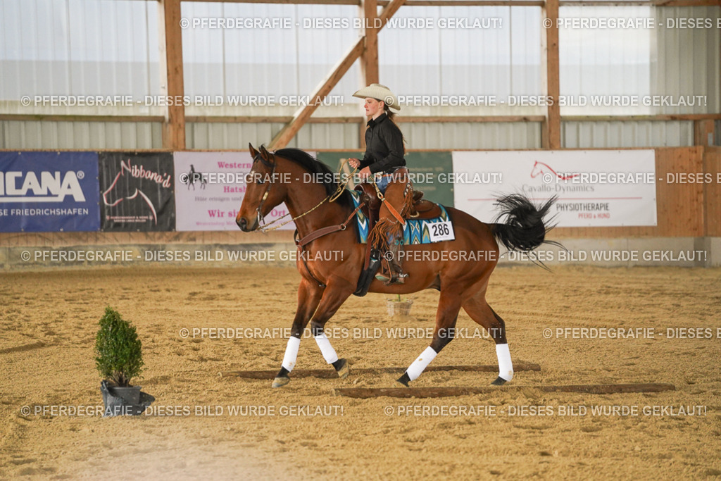 DSC04469 | Pferdegrafie