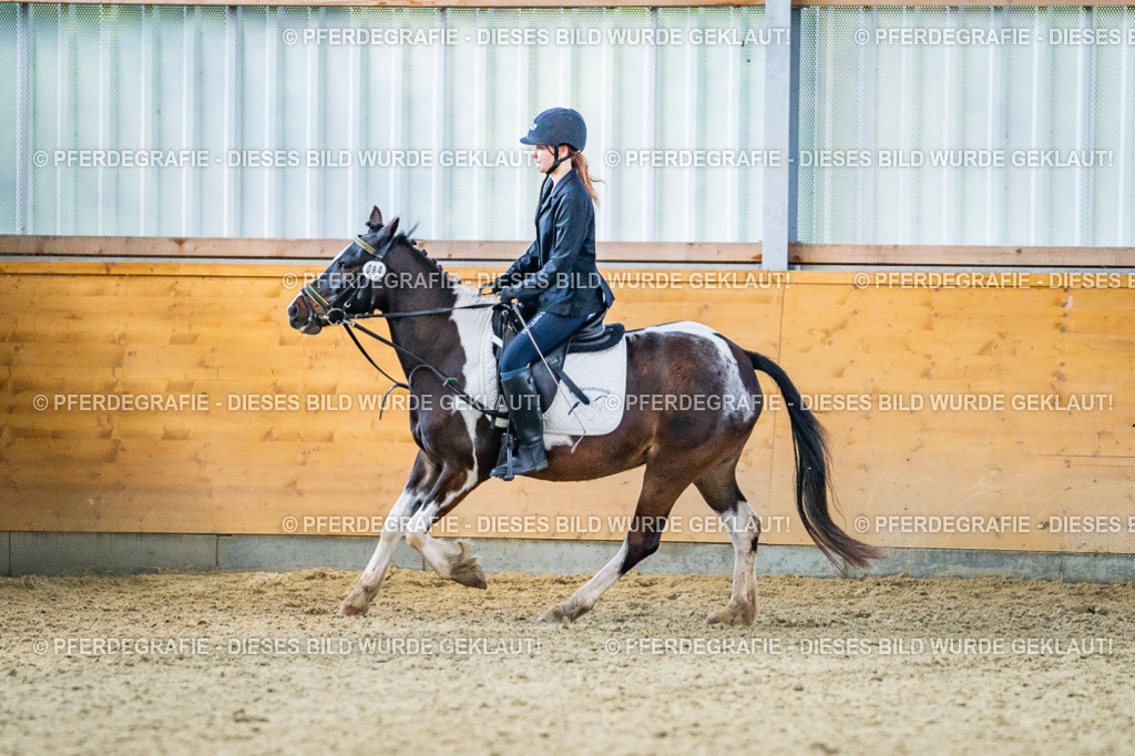 DSC03784 | Pferdegrafie