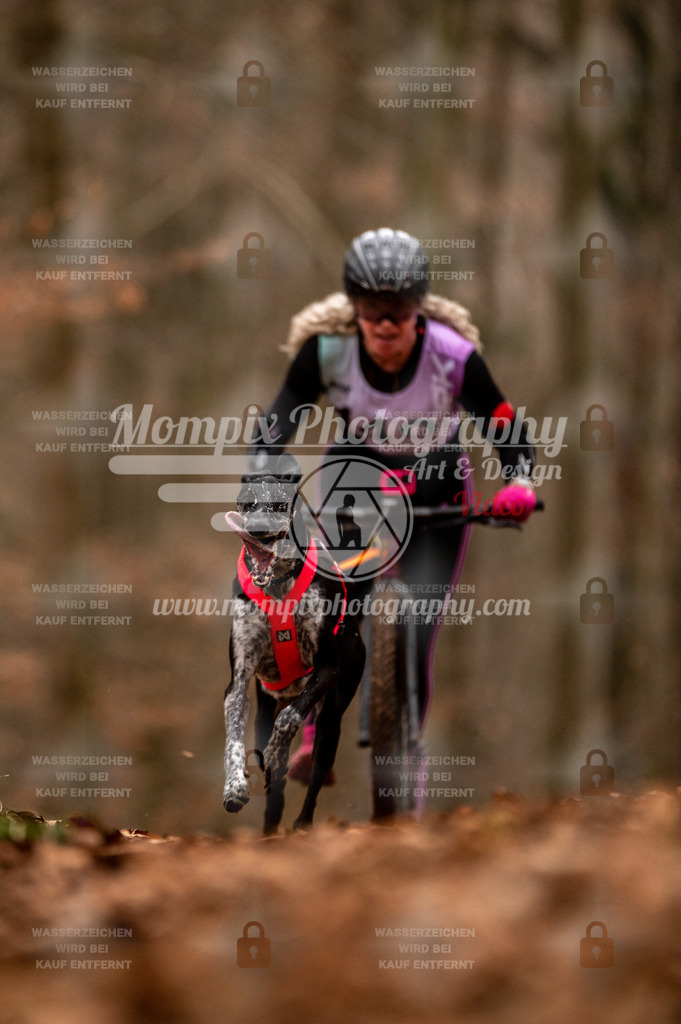 AKM_ST_2023_Son_Scooter-20 | PayLife