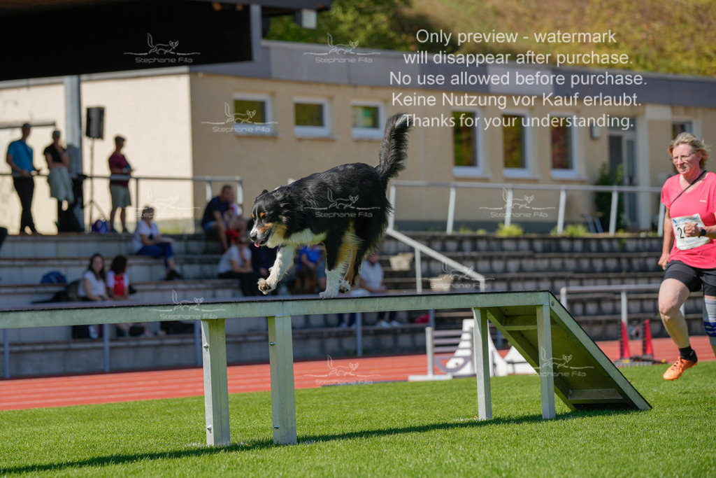 Sonntag_VK Hindernis (445 von 671) | stephaniefillaphotographie - Realisiert mit Pictrs.com