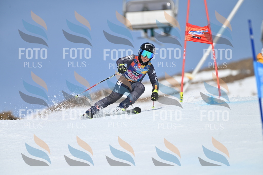 BGV_1019 | holidayphoto