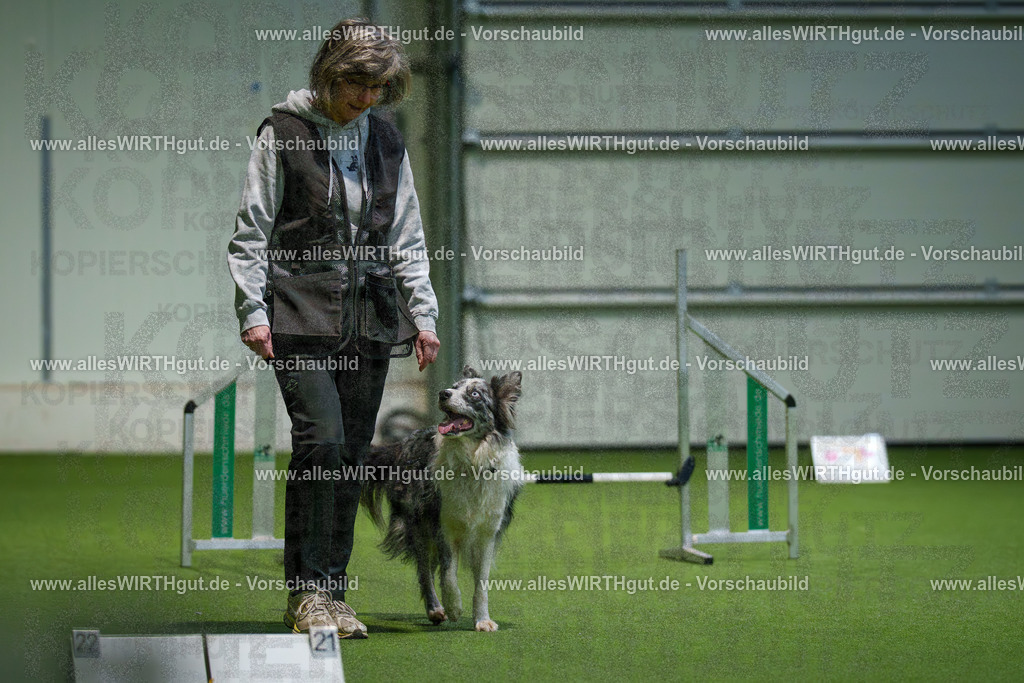 7R504468 | Professionelle Tierfotografie in Mönchengladbach von Daniel Wirth (allesWIRTHgut). Liebevolle & natürliche Bilder von Hunden & Katzen für unvergessliche Erinnerungen.