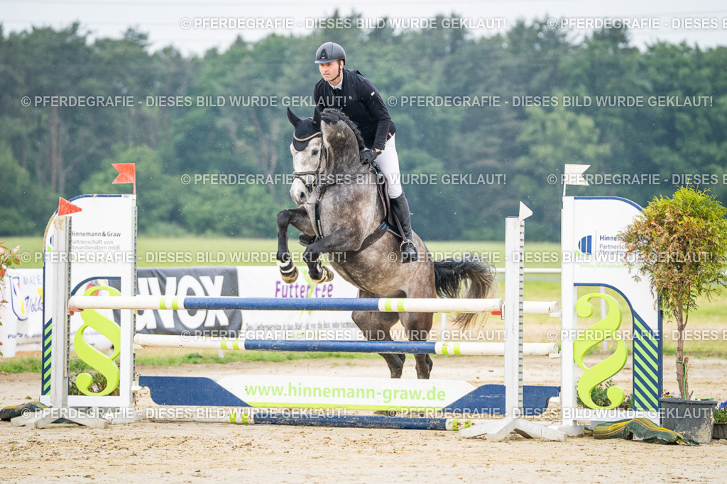 DSC09651 | Pferdegrafie