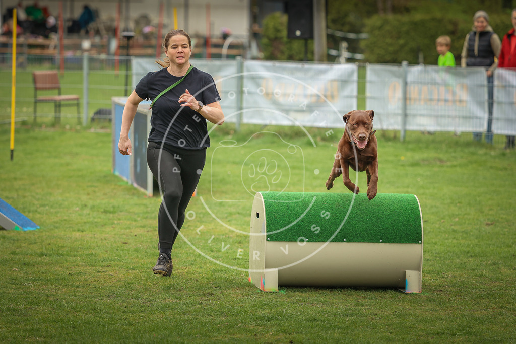 Pfotenfotografie_0L8A1871 | Hundefotografie, Tierfotograf, Pfotenfotografie, Fotoshooting Hund, Hunde Portrait, Hundesport, Hundeportraits, Heideshooting, Hunde, Sportfotograf, Hundefotograf, Turnierhundsport, THS,  - Realisiert mit Pictrs.com