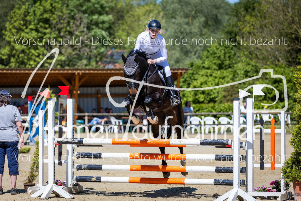 Donop24-ASprmstA-026 | MomenTaufnahmen Pferdesportfotos