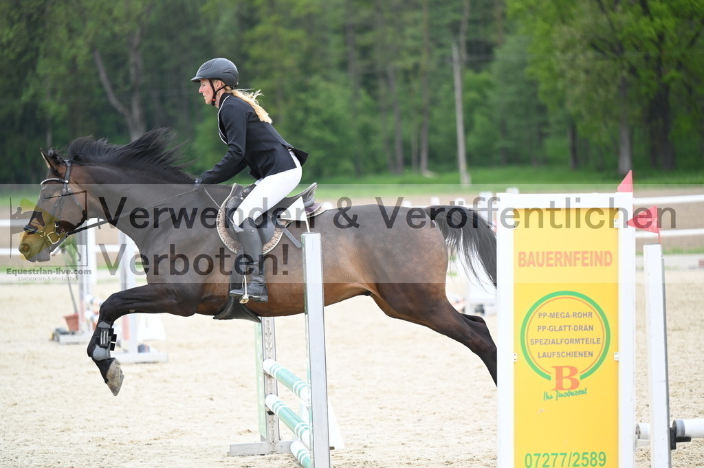 DSC_2018 | equestrian-live-com