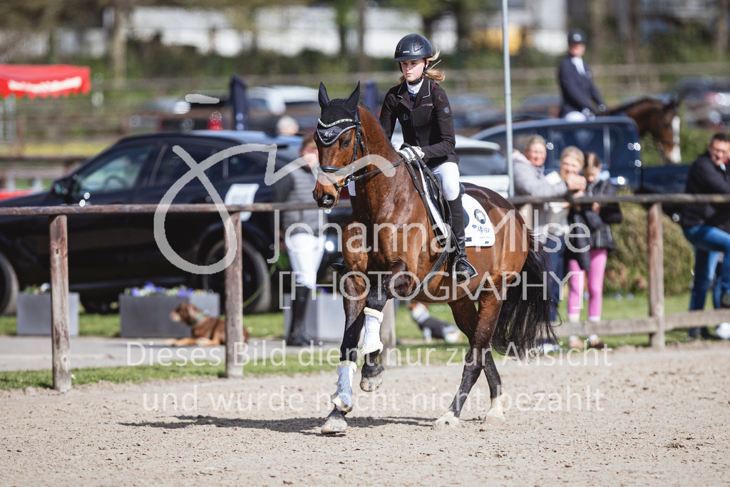 250419_Frühlingsfest_A-Stil1-423 | Deine schönsten Turniermomente als professionelle Fotos! Entdecke hochwertige Pferdesport-Fotografie im Online-Shop. Jetzt Fotos finden & bestellen!