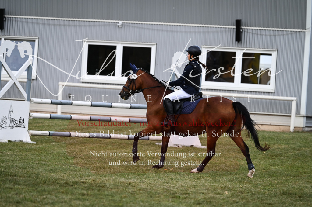 DSC_5495 | Pferde- und Turnierfotografie in Westsachsen. Pferdeportraits, Auftragszeichnungen und intuitive Kunst.