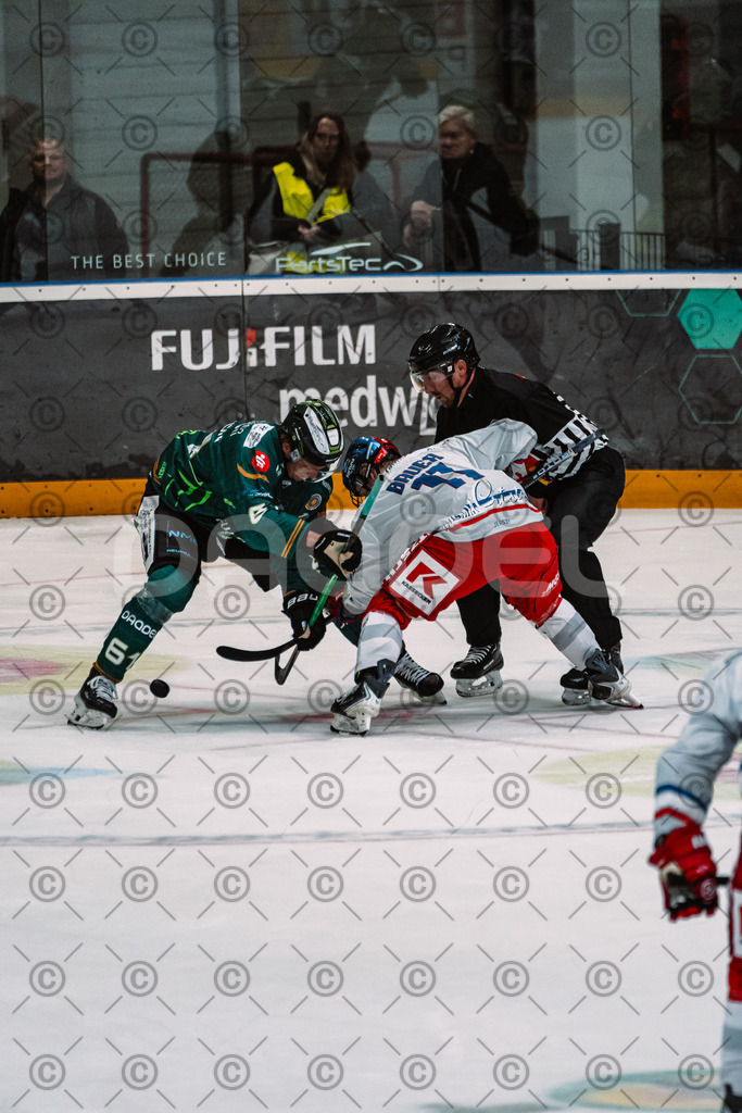 Alligators_vs_Selb_13_09_2026-23 | Die Fotogalerie von Daddel: professionelle Bilder von Sport, Events und Unternehmen aus Franken. Jetzt Galerien durchstöbern und Lieblingsfotos bestellen. - Realisiert mit Pictrs.com