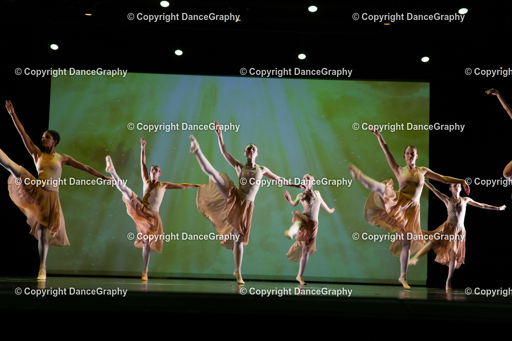 GPHY6306 | DanceGraphy - Realisiert mit Pictrs.com