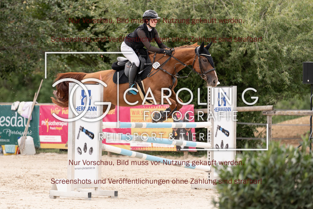DSC06747 | Springturnier_Teamchallege_Talheim_2026, Lara-Sophie_Strom, Nectarine_V.D.Wart