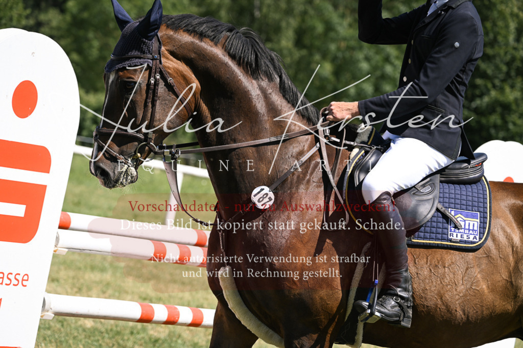 DSC_0264 | Pferde- und Turnierfotografie in Westsachsen. Pferdeportraits, Auftragszeichnungen und intuitive Kunst.