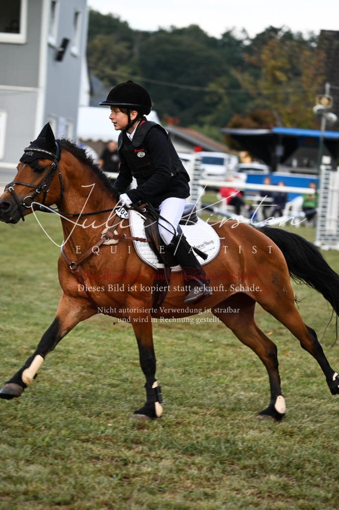 DSC_5555 | Pferde- und Turnierfotografie in Westsachsen. Pferdeportraits, Auftragszeichnungen und intuitive Kunst.