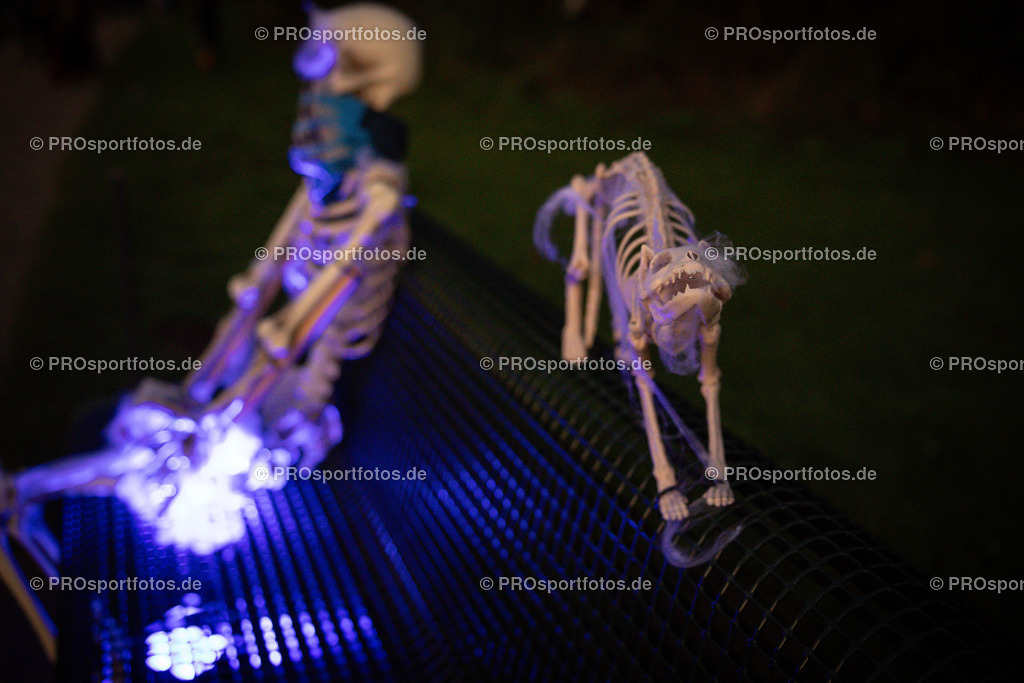 Halloween Run 2024 in Koeln, 31.10.2024 | Impressionen vom Halloween Run 2024 am 31.10.2024 in Koeln (Forstbotanischer Garten Rodenkirchen). Foto: BEAUTIFUL SPORTS/Axel Kohring