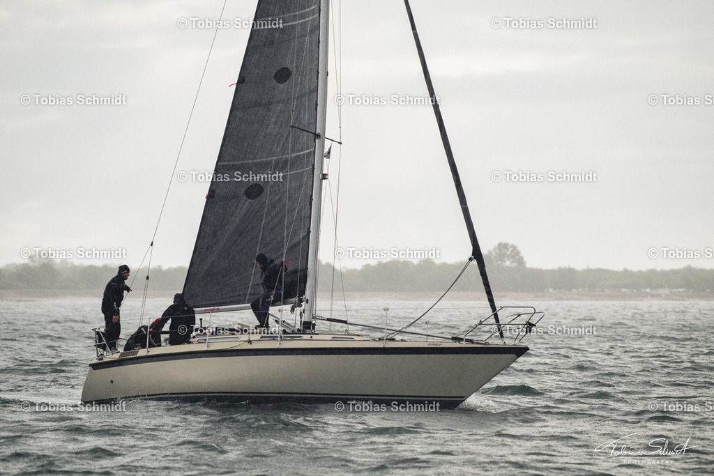 Fehmarn Rund 2025_DSC6720 | Fotoprodukte, Kalender und Wanddeko direkt vom Fotografen auf Fehmarn. Ob Wandbild auf Alu-Dibond, hinter Acrylglas oder auf Leinwand – hier können Sie Ihr Lieblingsbild kaufen. - Realisiert mit Pictrs.com