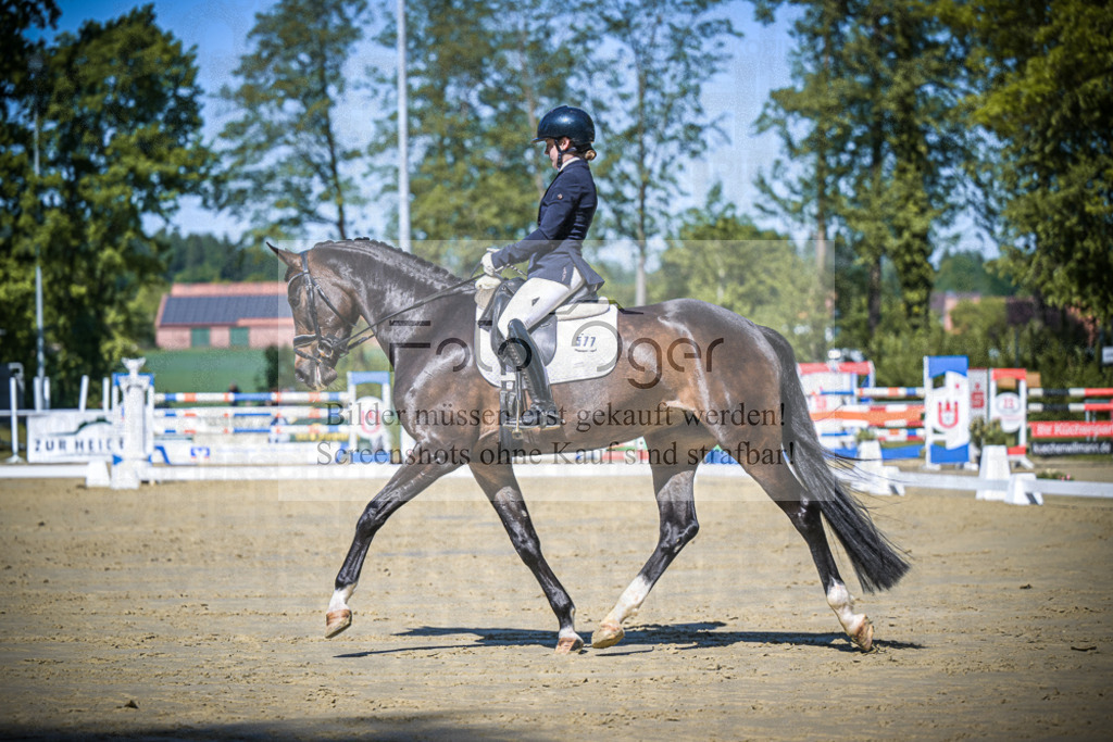 DOS_5767 | Entdecke hochwertige Reitturnierfotos von Foto Oger. Professionell, emotional und authentisch – jetzt Lieblingsmomente im Shop bestellen.Deutschlandweite Turnierfotografie. - Realisiert mit Pictrs.com