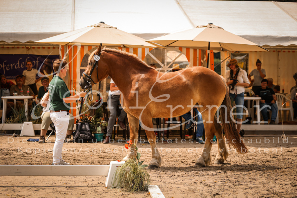 3.Sa00002 | Leoni Ertmer Photography - Realisiert mit Pictrs.com