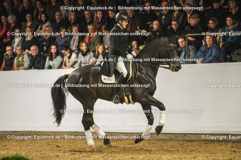 20240302_Hengstvorstellung_Marbach_TOMsPiC_1453-2 | equistock