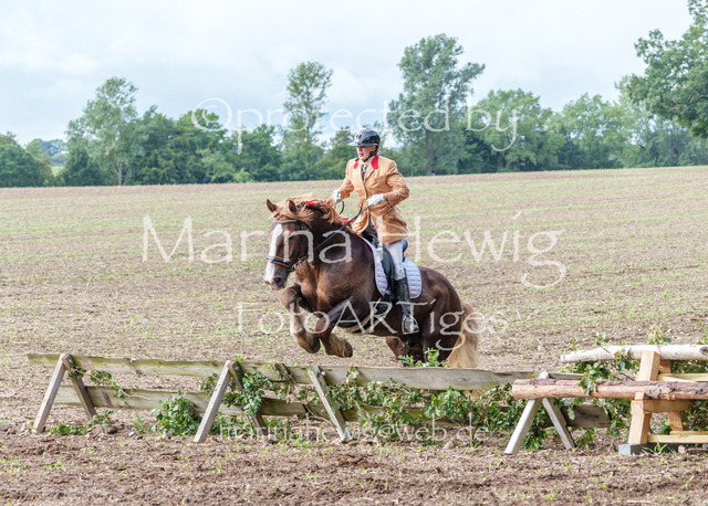 Jagd Perdoel 26 Sony-04115_MarinaHewig | Fotografie, FotoArt, PferdesportArt, Pferdesportfotografie, Landschaftsfotografie, Reisefotografie, Reise, Pferde - Realisiert mit Pictrs.com