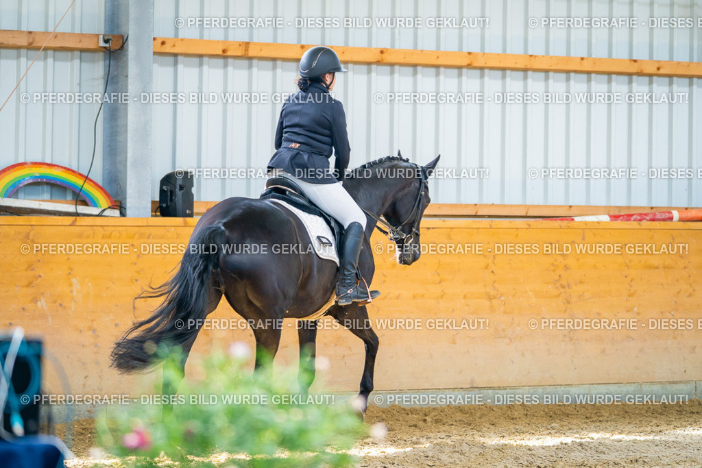 DSC08033 | Pferdegrafie