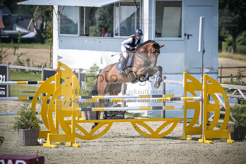 DOS_2956 | Entdecke hochwertige Reitturnierfotos von Foto Oger. Professionell, emotional und authentisch – jetzt Lieblingsmomente im Shop bestellen. - Realisiert mit Pictrs.com