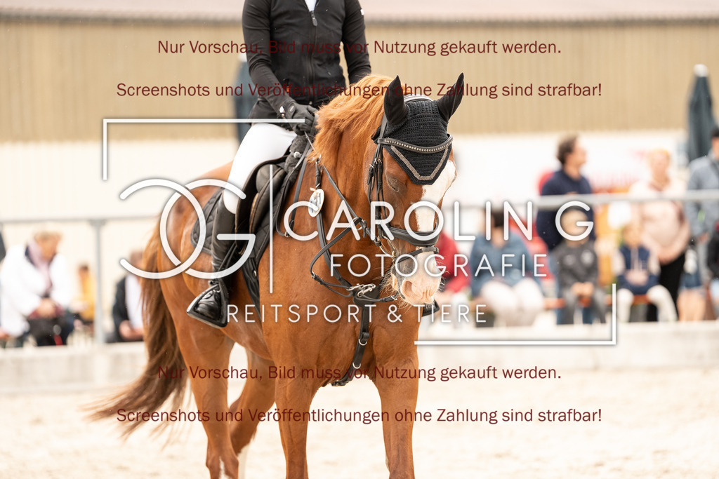 DSC00001 | Turnierfotografin Carolin Gieschke, Turnierfotografie Carolin G Fotografie, Turnierfotos Kirchheim/Teck, Esslingen, Stuttgart, Bodenseekreis
