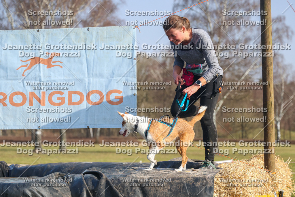 Dog Paparazzi - Strongdog North Mrz26-2788 | Dog Paparazzi Jeanette Grottendiek Fotografie & Videografie - Realisiert mit Pictrs.com