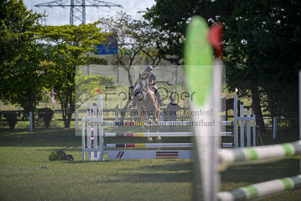 Reitturnier Voxtrup | Entdecke hochwertige Reitturnierfotos von Foto Oger. Professionell, emotional und authentisch – jetzt Lieblingsmomente im Shop bestellen.Deutschlandweite Turnierfotografie. - Realisiert mit Pictrs.com
