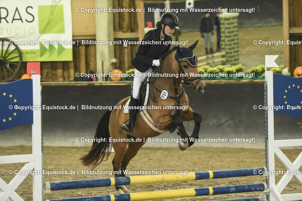 20231029_07_Stilspring-WB-50cm_0068 | Foto: Thomas Hartig