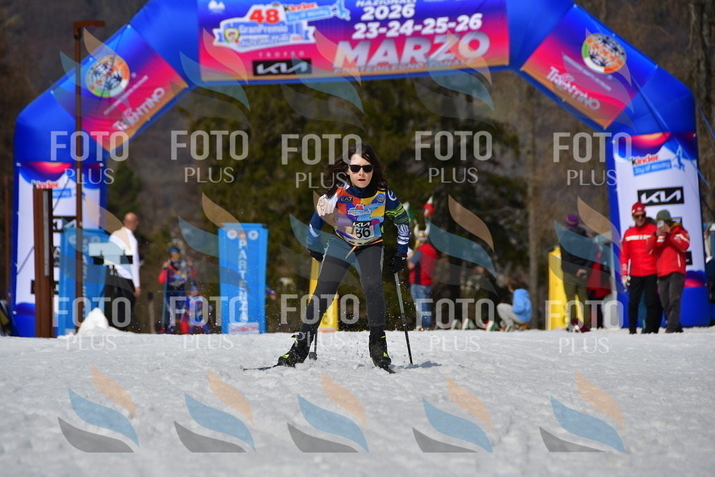 _DSC0878 | holidayphoto