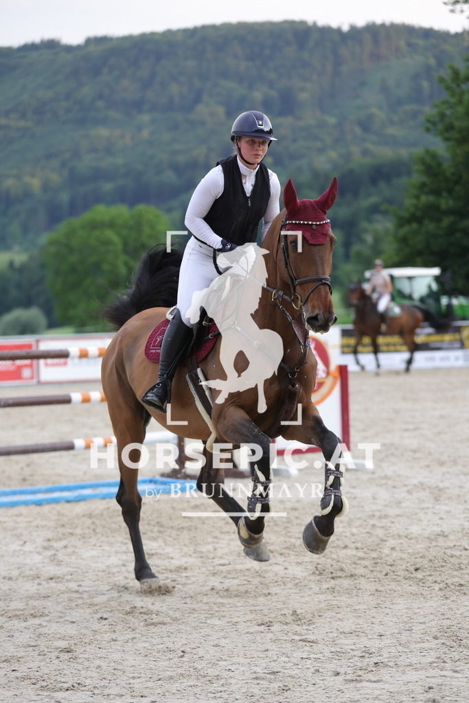 0P6A2172 | Willkommen bei Brunnmayr - Design & Fotografie – Ihrem Spezialisten für Reitturniere und Pferdeveranstaltungen in Oberösterreich, Salzburg und Bayern! Seit über 17 Jahren sind wir leidenschaftlich dabei.