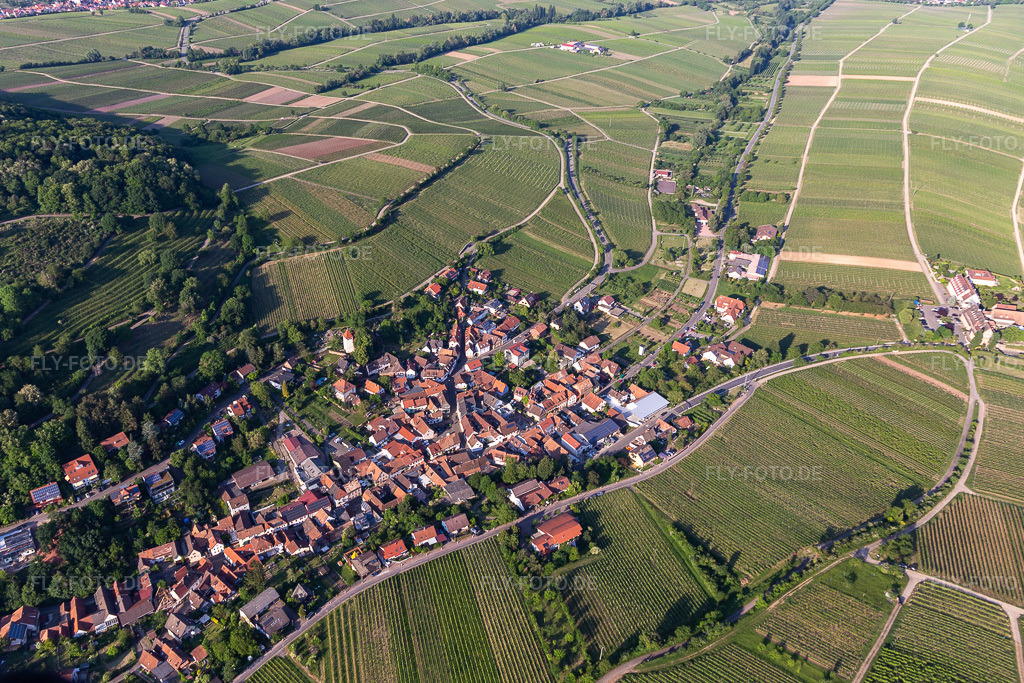 Luftbild: Winzerdorfansicht aus Süden in Leinsweiler im Bundesland Rheinland-Pfalz in Deutschland. Foto: IMG_120743.jpg vom 21.05.2020 durch Werner Riehm/FLY-FOTO.de