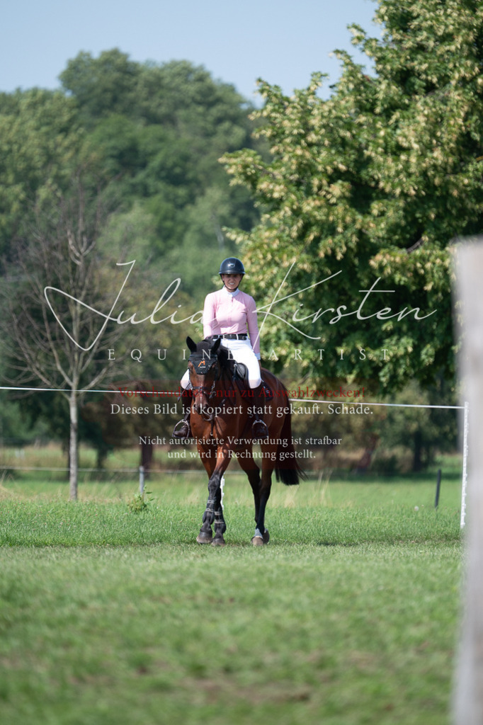 DSC_0588 | Pferde- und Turnierfotografie in Westsachsen. Pferdeportraits, Auftragszeichnungen und intuitive Kunst.