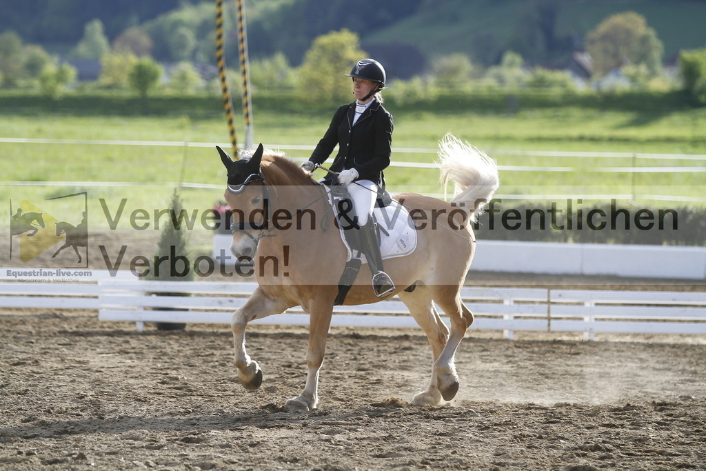 _MG_4301 | equestrian-live-com