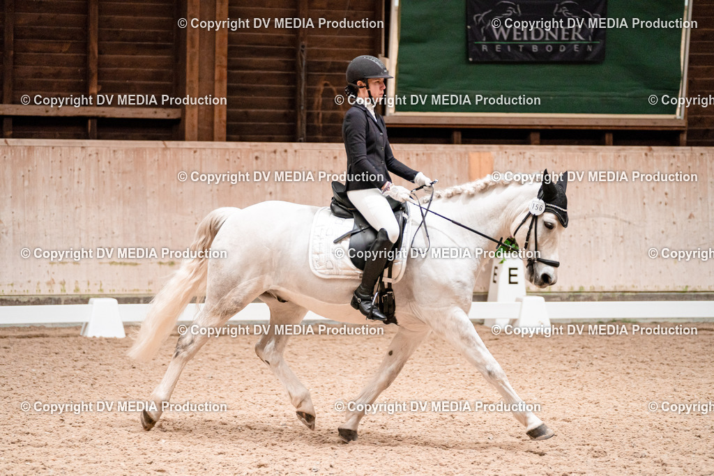 Dressur Tag 3-059 | dv-media-shop - Realisiert mit Pictrs.com