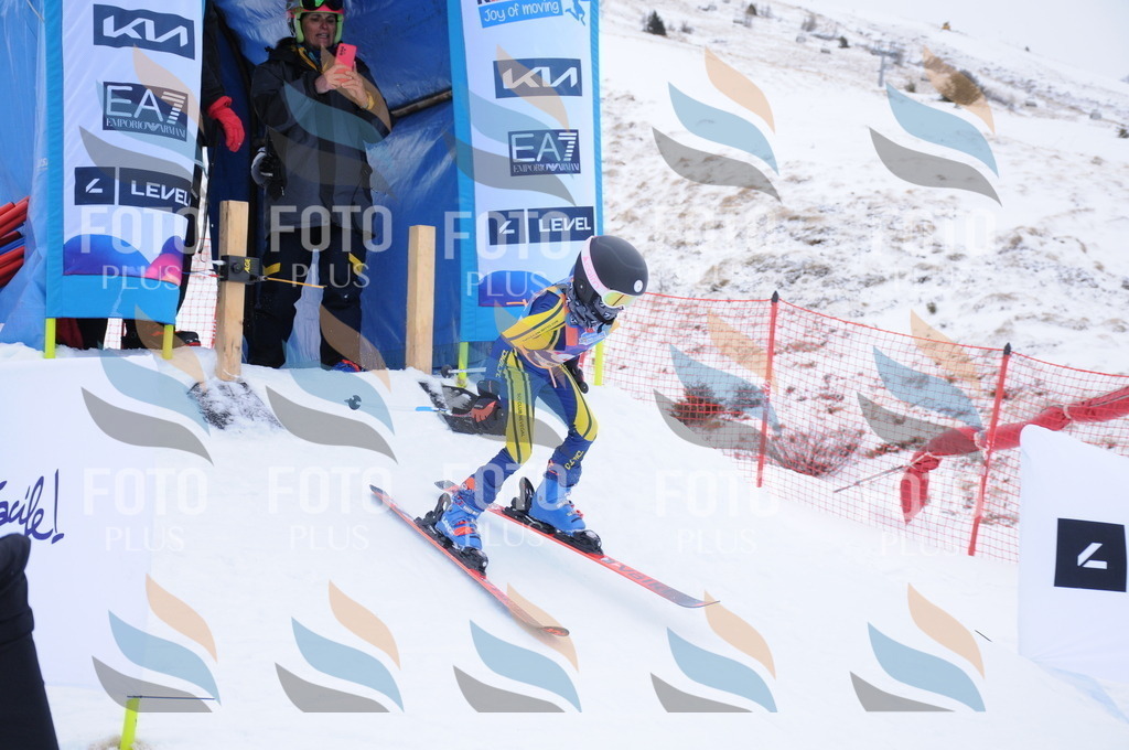 DSC_7871 | holidayphoto